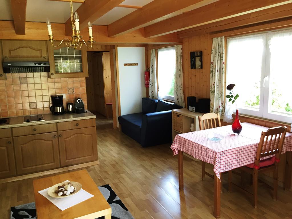Alpen Chalet Kandersteg Cameră foto